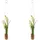 Creativ green Kunstblume CREATIV GREEN "Muscari in Hängevase", weiß, B:4cm H:35cm, Kunststoff, Kunstpflanzen
