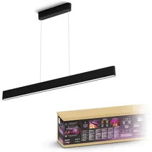 Philips Hue White & Color Ambiance Ensis schwarz