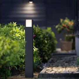 Philips Arbour Anthrazit