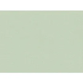 A.S. Création Vliestapete Greenery Uni strukturiert Mintgrün FSC®