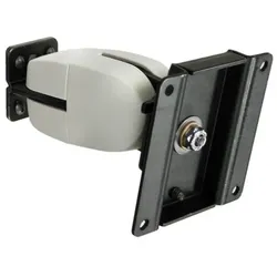 Ergotron Serie 100 Double Monitor Wandhalterung (47-093-800)
