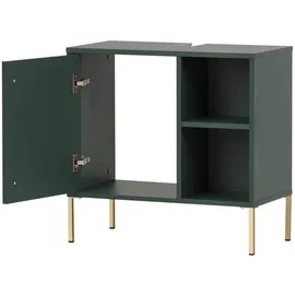 Lomadox Waschbeckenunterschrank 66 x 64 x 34 cm Grün