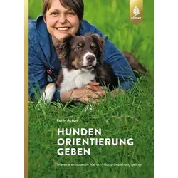 Hunden Orientierung geben