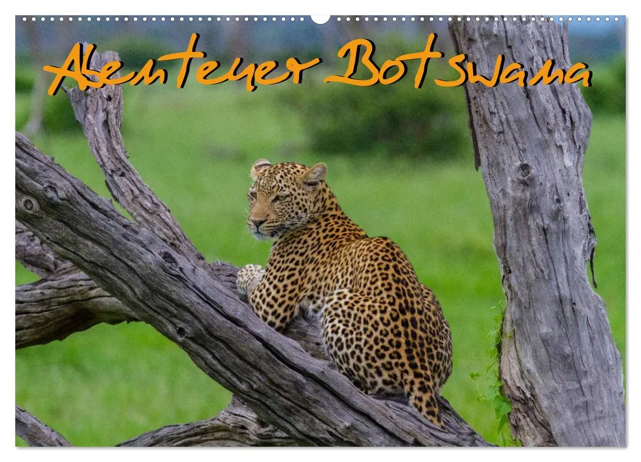 Abenteuer Botswana Afrika - Adventure Botswana (CALVENDO Wandkalender 2024) - A3