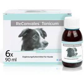 Alfavet ReConvales Tonicum Hund 6 x 90 ml