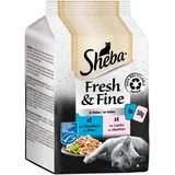 Sheba Fresh & Fine in Gelee - Hochwertiges Katzen Nassfutter - Thunfisch Lachs (MSC) - 36 x 50g