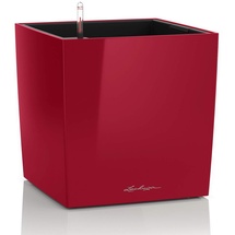 LECHUZA Cube 40 Komplettset 40 x 40 x 40 cm rot hochglanz