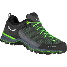 Salewa Mountain Trainer Lite GTX M myrtle/ombre blue 41