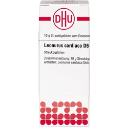 Leonurus Cardiaca D6