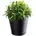 Blumentopf 13 x 13 x 13