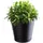 Kadax Blumentopf 13 x 13 x 13 cm Schwarz