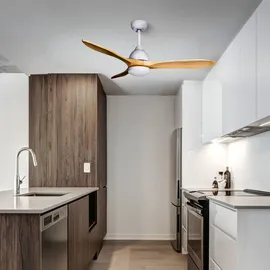 Eclipse Airora 0 cm Deckenventilator Holz
