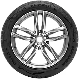 Radar Dimax Alpine 225/55 R17 101V XL