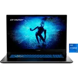 Erazer Defender P50i i7-13620H 16GB/1TB SSD 17,3"FHD 144Hz RTX4060 Win11