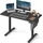 Songmics Höhenverstellbarer Schreibtisch elektrisch 60 x 120 x (72-120) cm