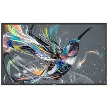 Philips Q-Line 43BDL3511Q/00 43"