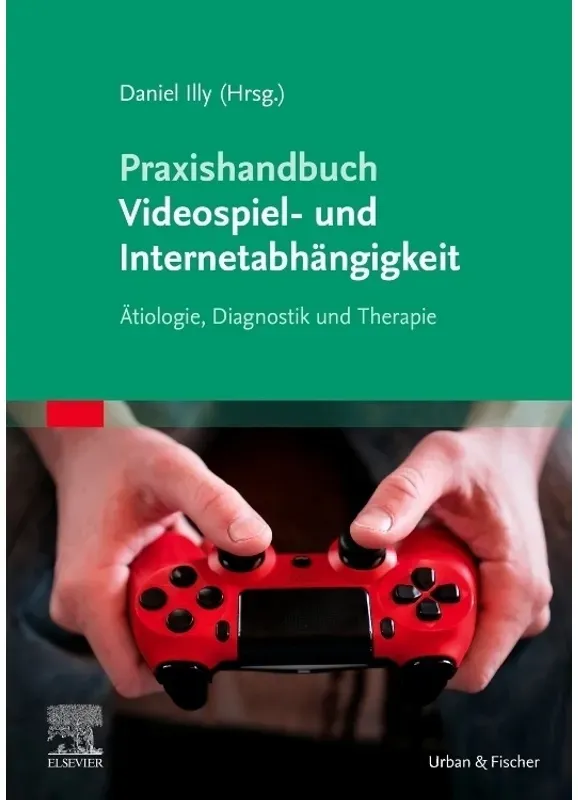 Praxishandbuch Videospiel- Und Internetabhängigkeit - Daniel Illy  Kartoniert (TB)