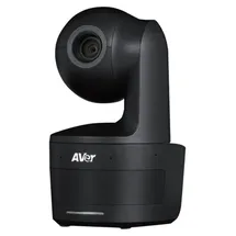 AVerMedia DL10 Schwarz