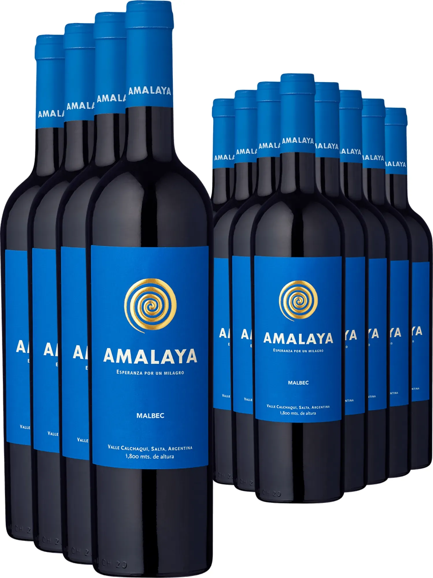 8+4-PAKET Amalaya 2024