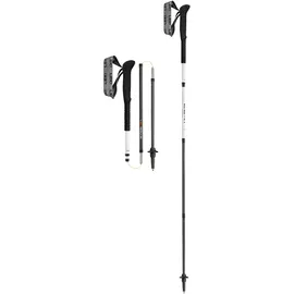 Leki Skytera FX.One SL 115 cm beige/weiß