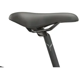 KROSS Lea 1.0 2024 26 Zoll RH 33 cm Damen pink