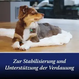 ARDAP Canosept Darmflora Tabletten F.hunde