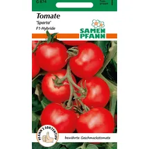 Samen Pfann Tomate Sparta F1 | Tomatensamen von Samen Pfann