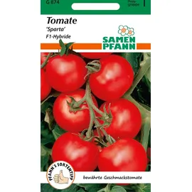 Samen Pfann Tomate Sparta F1 | Tomatensamen von Samen Pfann