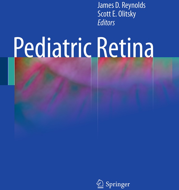 Pediatric Retina  Kartoniert (TB)