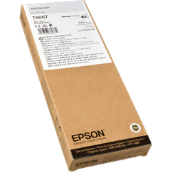Epson Tinte C13T606700 grau