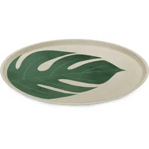 Koziol Connect Speiseteller 25,5 cm Beige/Grün 4er Set