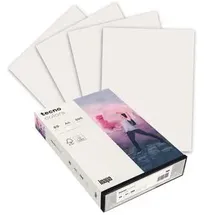 Inapa tecno colors A4 80 g/m2 500 Blatt naturweiß