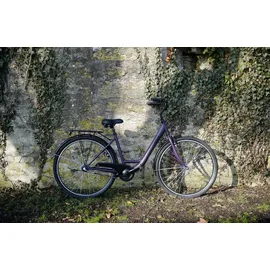 Prophete Geniesser 100 28 Zoll RH 46 cm Damen Dark Purple matt