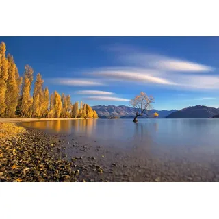 Papermoon Fototapete »Photo-Art HUA ZHU, HERBST IM SEE Wanaka bunt