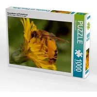 Calvendo Hosenbiene auf Ferkelkraut (Puzzle)