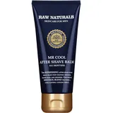 Raw Naturals Raw Naturals, Aftershave, After Shave Balsam Mr Cool (Aftershave Balsam, 100 ml)