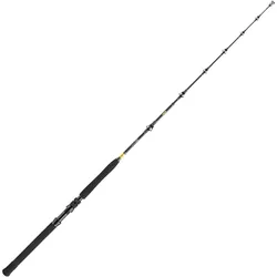 Daiwa BG Big Game 1.68m 30-50lbs Bootsrute
