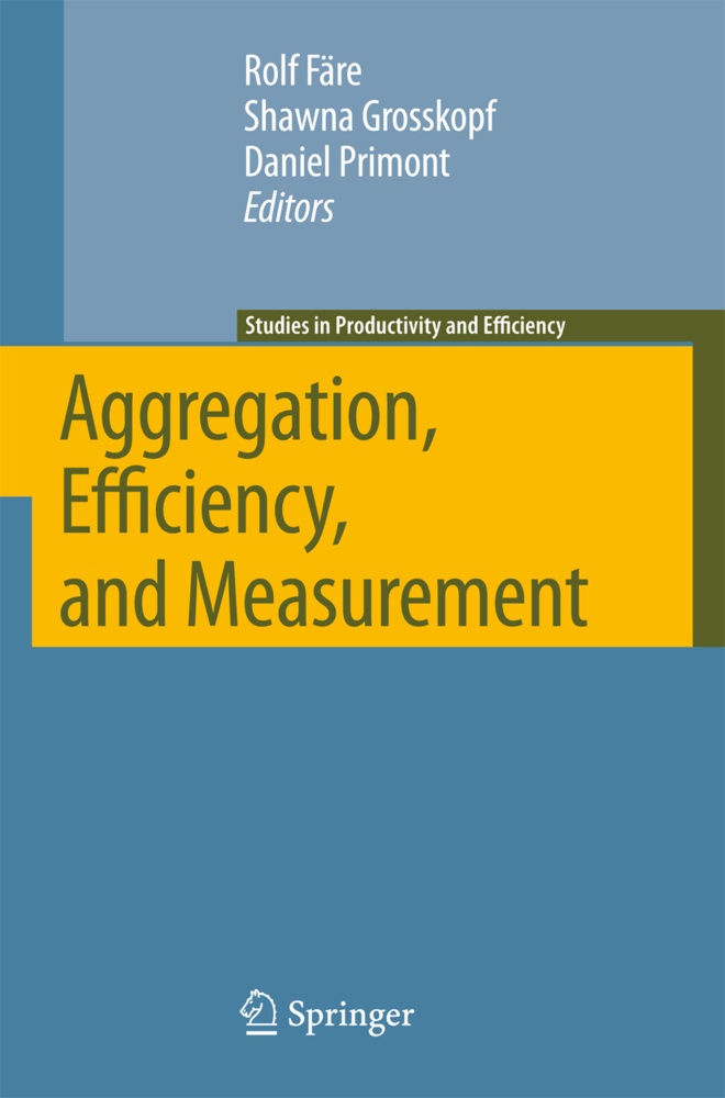 Aggregation  Efficiency  And Measurement  Kartoniert (TB)