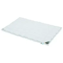 Schäfer Daunen Royal Classic Mailand Ganzjahresdecke (Größe: 155x220 cm)