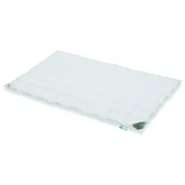 Schäfer Daunen Royal Classic Mailand Ganzjahresdecke (Größe: 155x220 cm)