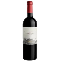 45° Rugientes Merlot Bodega Otronia 2020 BIO