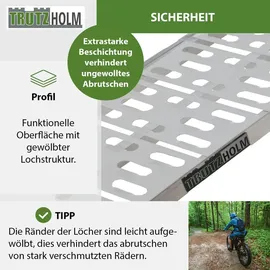Trutzholm Auffahrrampe 228 cm 340 kg klappbar Aluminium gelocht silber 1 St.
