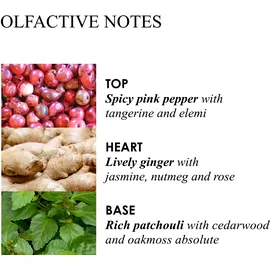 Molton Brown Fiery Pink Pepper Bath- & Showergel 300 ml