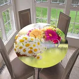 Morbuy Rund Tischdecke Elastisch, Garten Drucken Rund Tischdecken Wasserdicht Lotuseffekt Abwaschbar Abwischbar Tischtuch für Küchentisch Garten Outdoor (Durchmesser 100cm,Gänseblümchen)