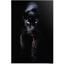 Poster REINDERS "Poster Schwarzer Panther", schwarz (farbe bild(er): schwarz), B:61cm H:91,5cm, Papier, Bilder