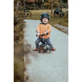 Scoot and Ride Highwaykick 1 Lifestyle 2in1 Zebra