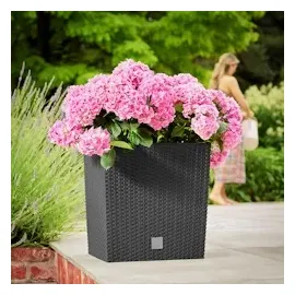 Prosperplast Rato Low 40 x 40 x 40,8 cm anthrazit