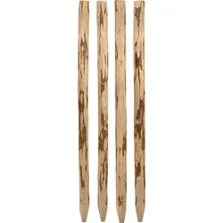 dobar 4x Holzpfosten für Staketen Zaun