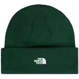 The North Face NF0A5FW1NL11 Norm Beanie Hat Herren Evergreen Größe OS