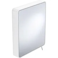 Hewi System 800 Kippspiegel 8000110060